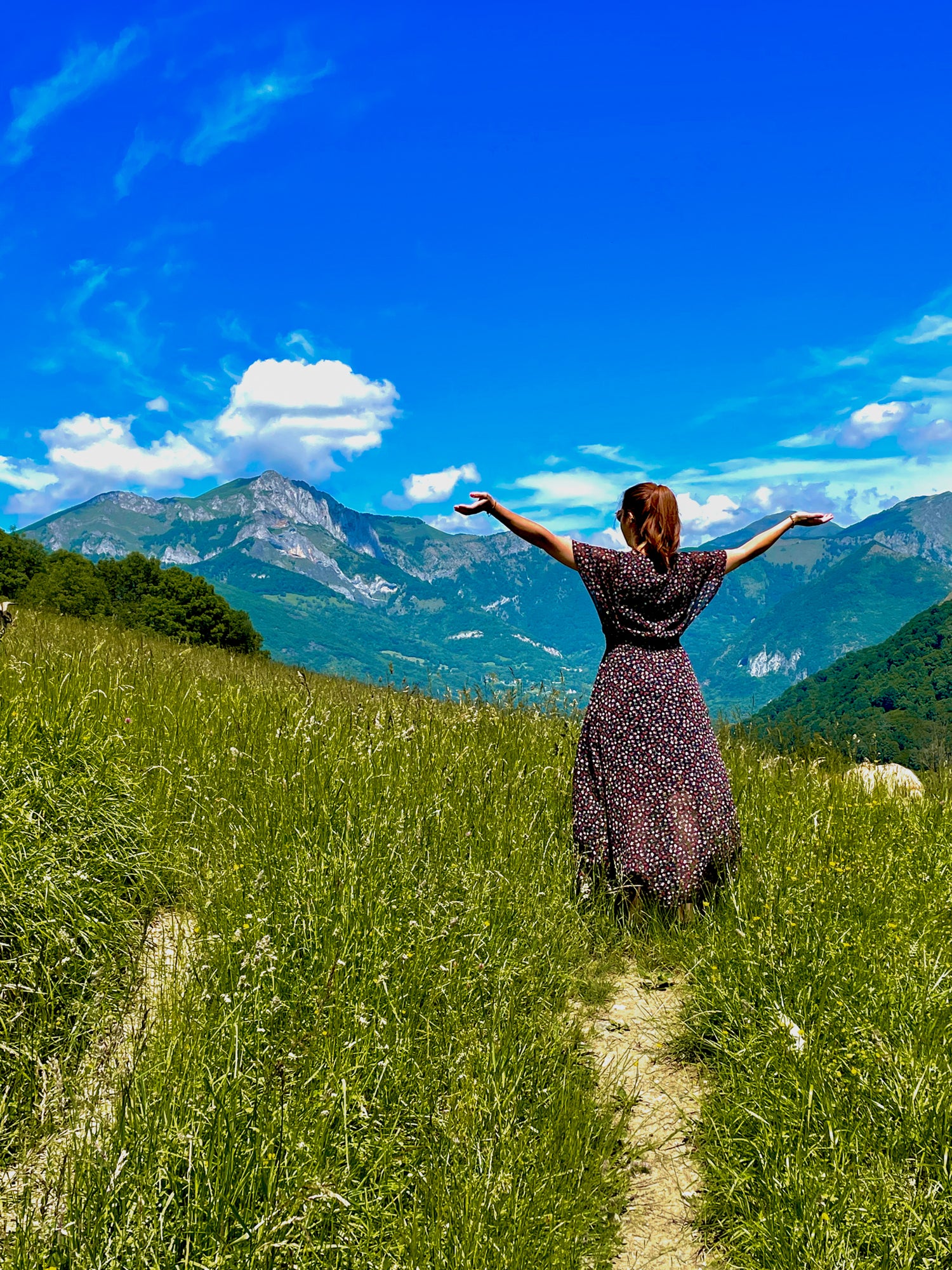 Une fille en robe longue, de dos, les bras ouverts face à la montagne